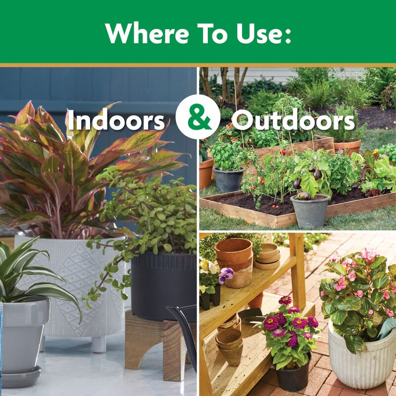 Water Soluble All Purpose Plant Food, 8 Oz.