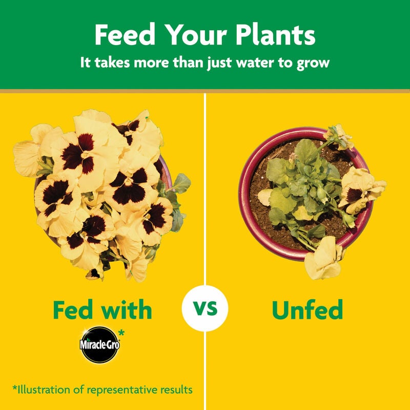 Water Soluble All Purpose Plant Food, 8 Oz.