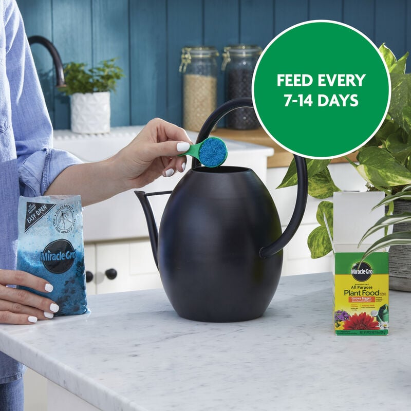 Water Soluble All Purpose Plant Food, 8 Oz.