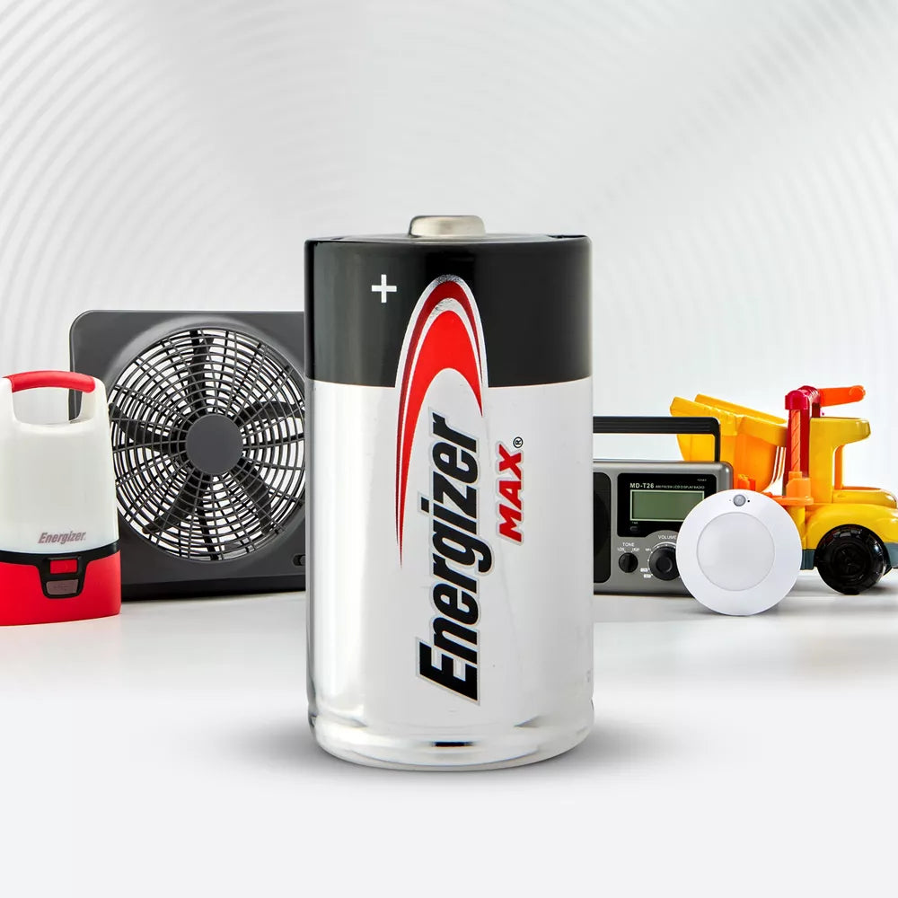 D2 Batteries - Alkaline