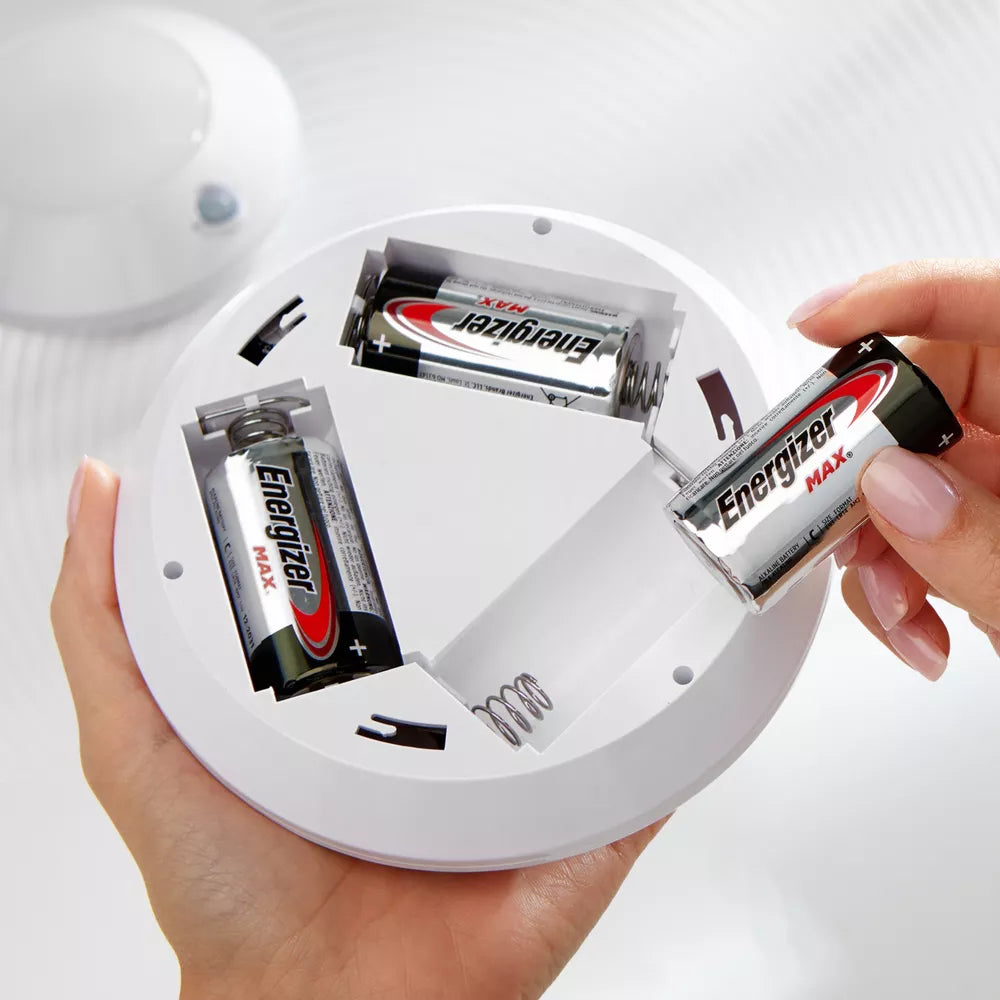 D2 Batteries - Alkaline