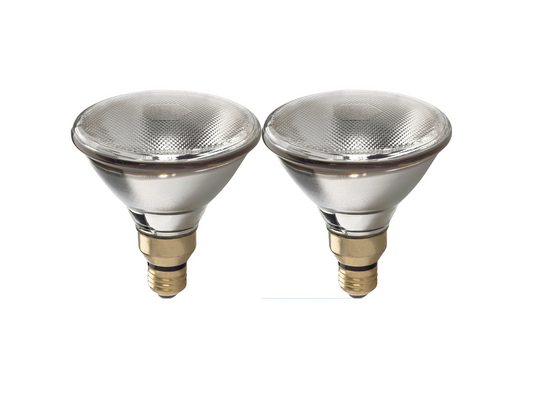 75-Watt Halogen Indoor/Outdoor Floodlight - 2pk