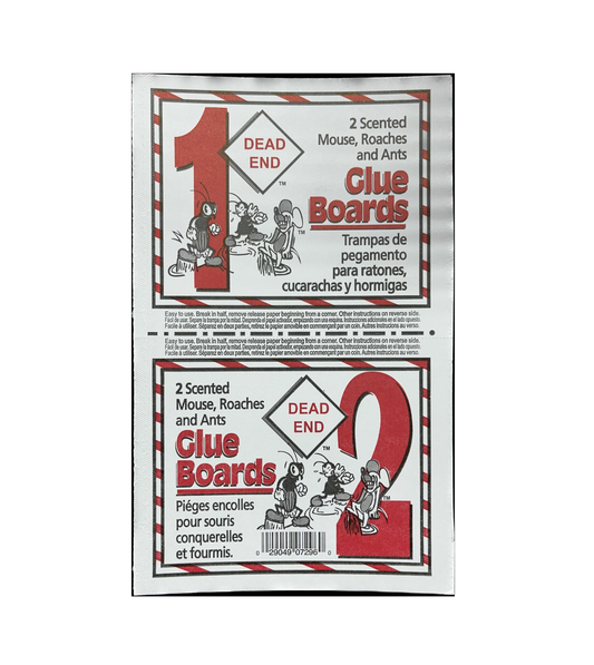 Baited Glue Trap