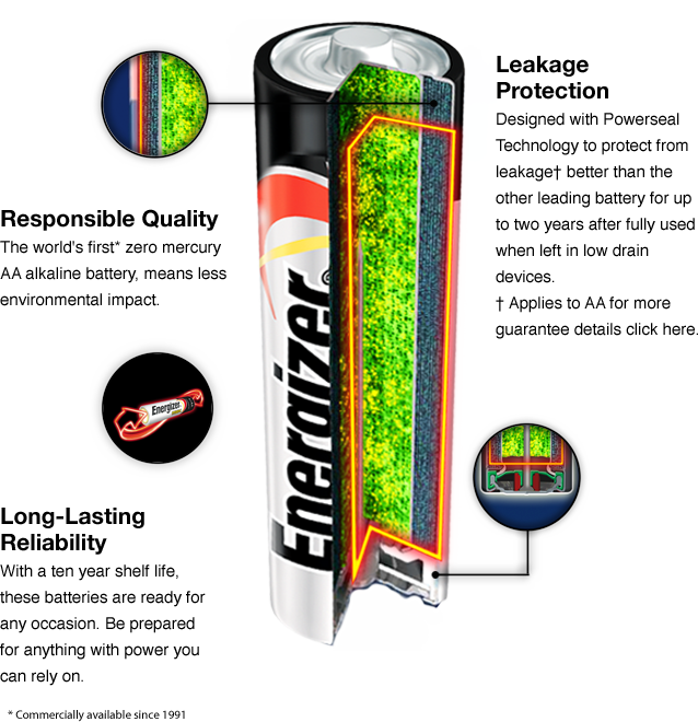D2 Batteries - Alkaline