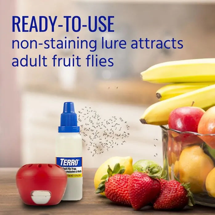 Fruit Fly Trap