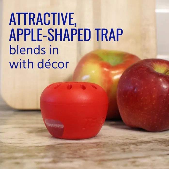 Fruit Fly Trap