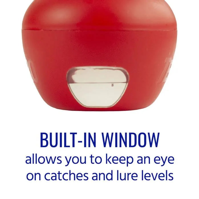 Fruit Fly Trap