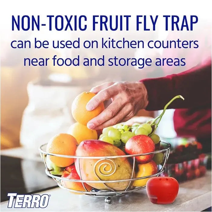Fruit Fly Trap