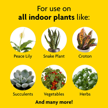 miracle-gro indoor plant food for succulents Miracle-Gro Indoor Plant Food