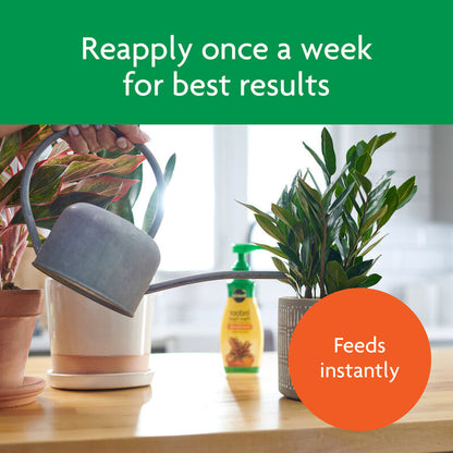 miracle-gro indoor plant food Miracle-Gro Indoor Plant Food