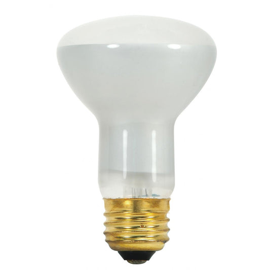45-Watt Indoor Reflector Incandescent Lightbulb